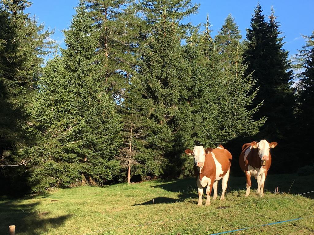Garni Enrosadira Vigo di Fassa