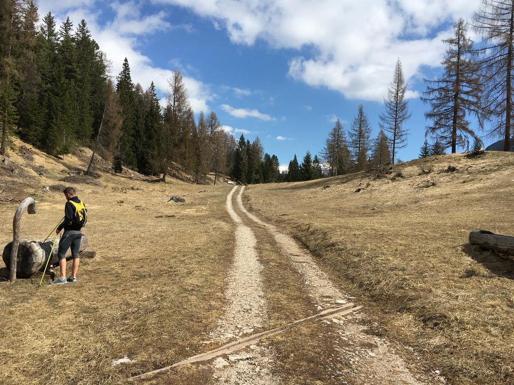 Garni Enrosadira 3* Vigo di Fassa